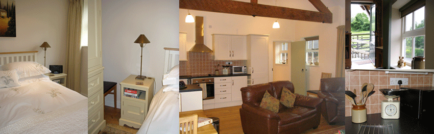 Open Plan Accomodation